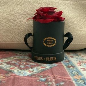 Meet your Posher, Joselyn